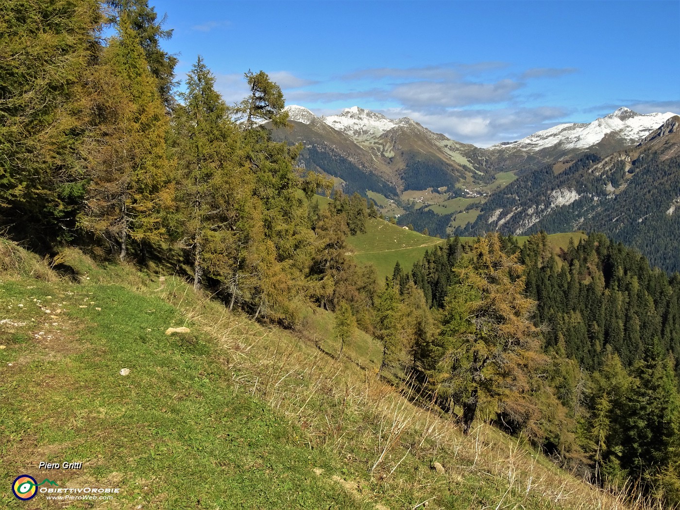 40 Sul sent. 117 dal Forcolino al Monte Colle larici in look autunnale.JPG